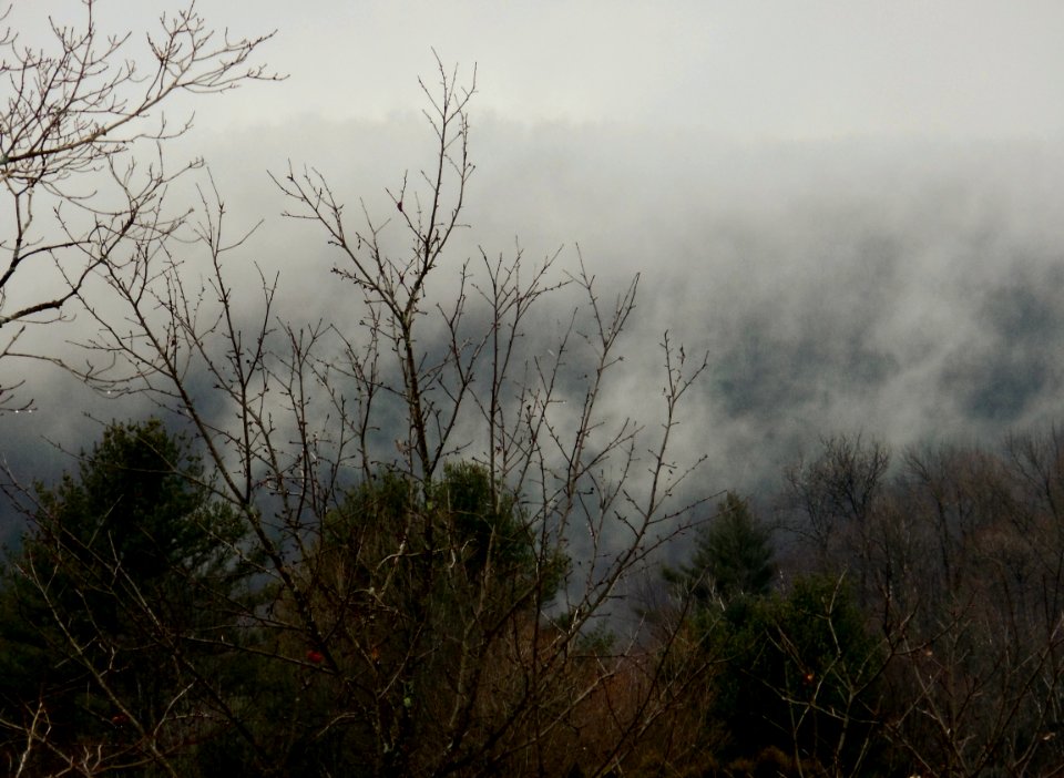 Foggy Morning in Vermont