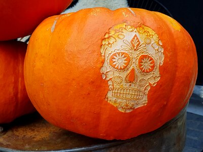 Autumn gourd deco