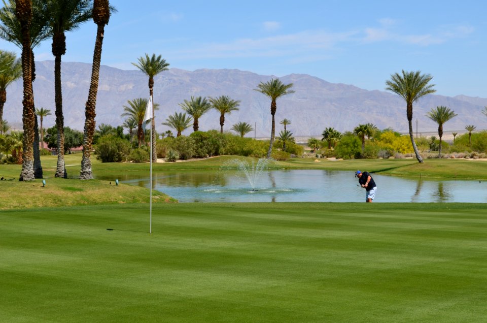 Desert Golf