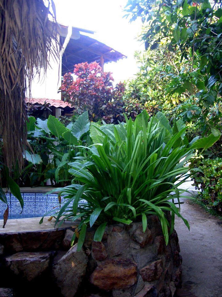 2011-01-Costa rica 080