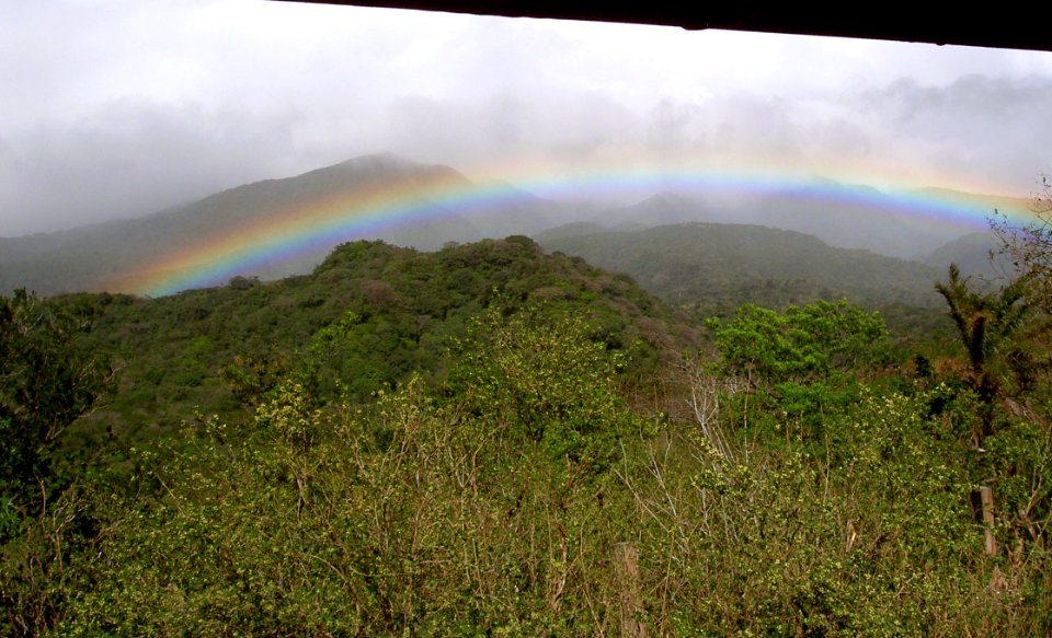 2011-01-Costa rica 045