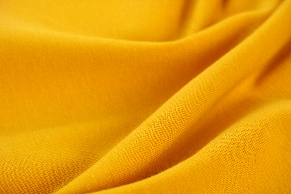 Macro detail cotton