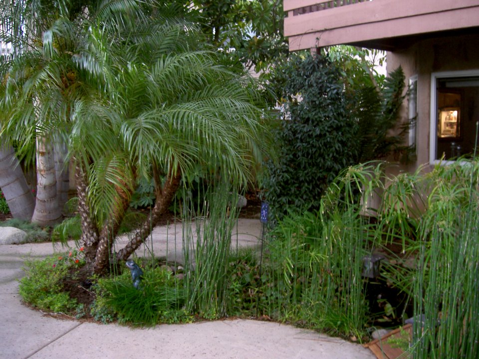 Misc - Feb 2007 007