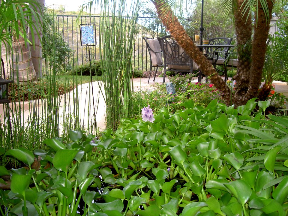 S&l's Home - Oct, 2006 009
