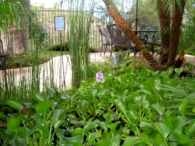 S&l's Home - Oct, 2006 009