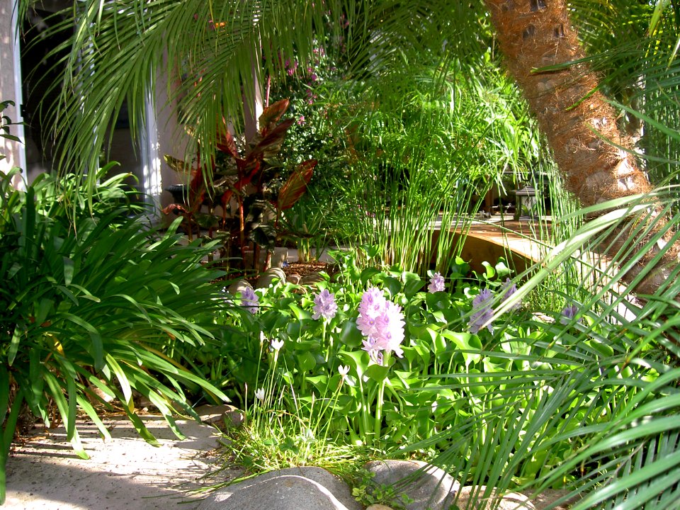 July-August 2006 016