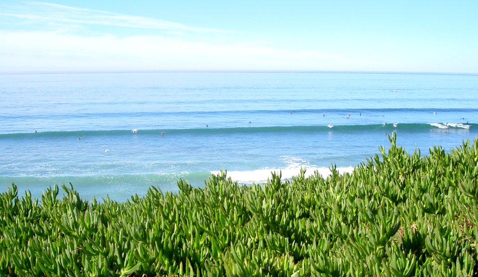 Del Mar Surf photo