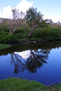 IMGP2716