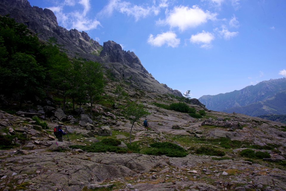 09 (11)