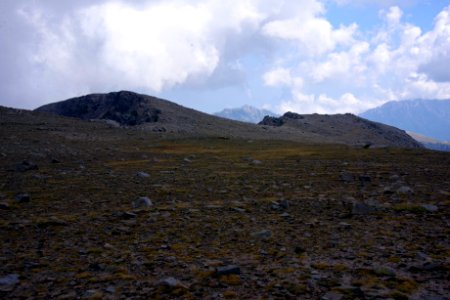IMGP2706