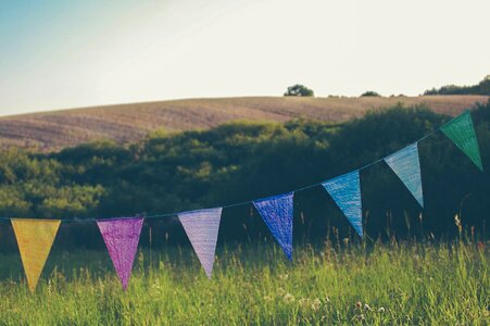 Grass field rural photo