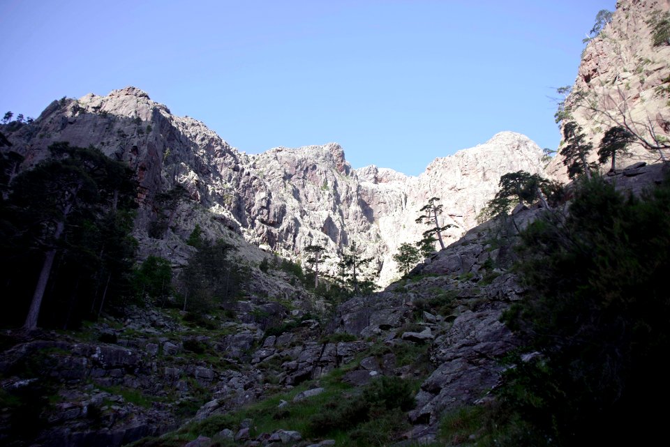 03 (7)