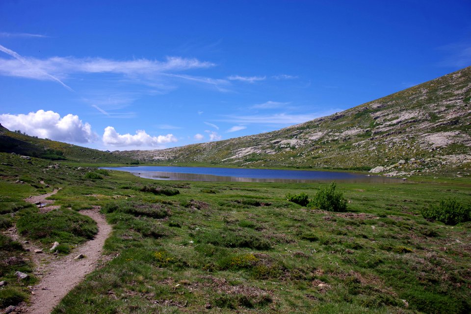 06 (41)