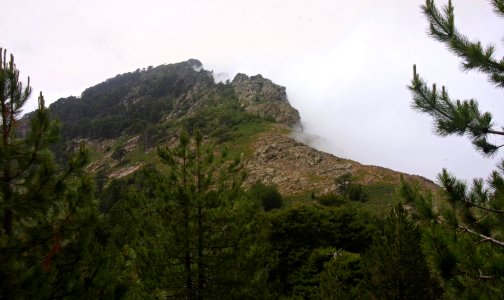 01 (17)