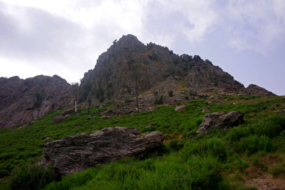 01 (10)