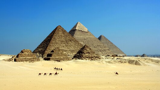 Camels sand structures photo