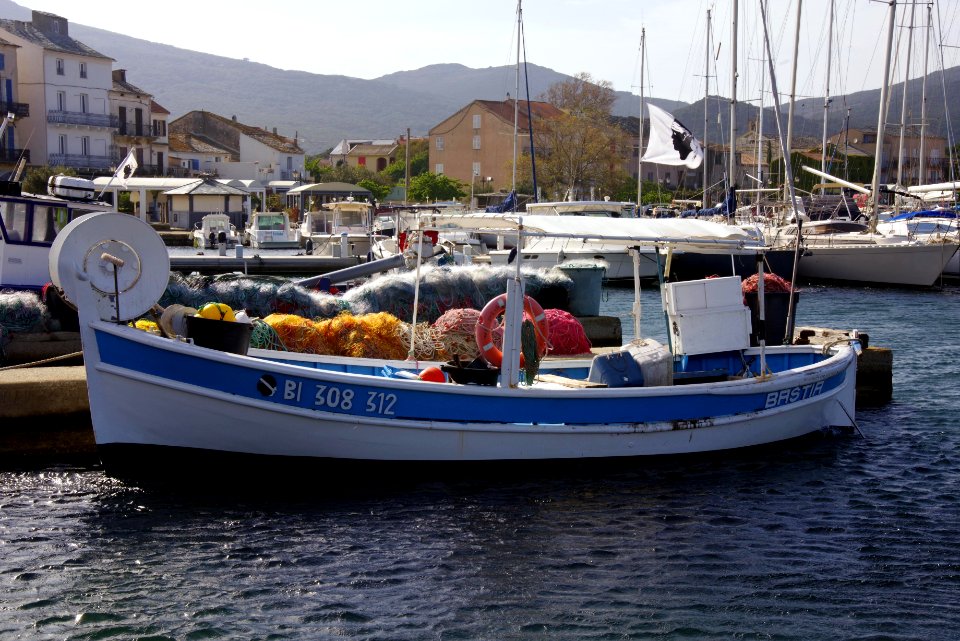 IMGP1108