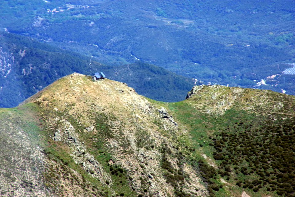 IMGP0931