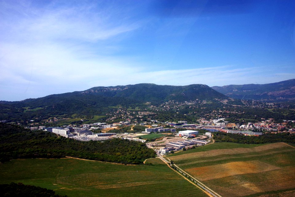 IMGP0908