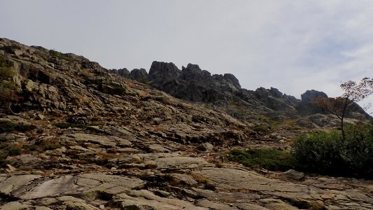 06 (11)