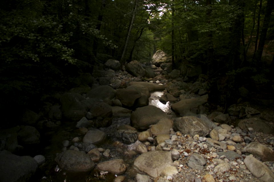 06 (1)