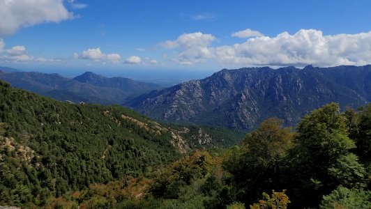 05 (11)