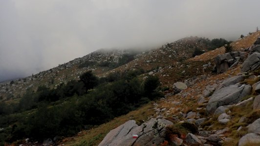 03 (16)
