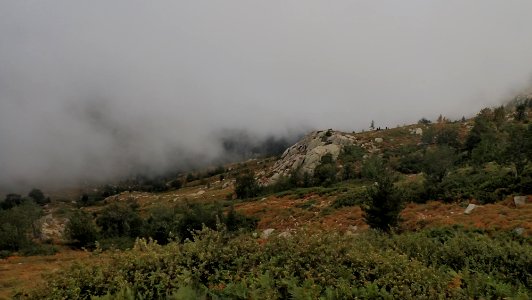 03 (15)
