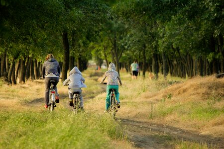 Forest sports bike
