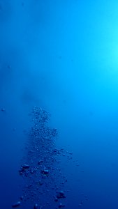 P6090668