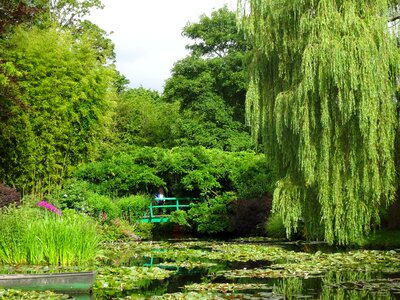 Monet garden pond