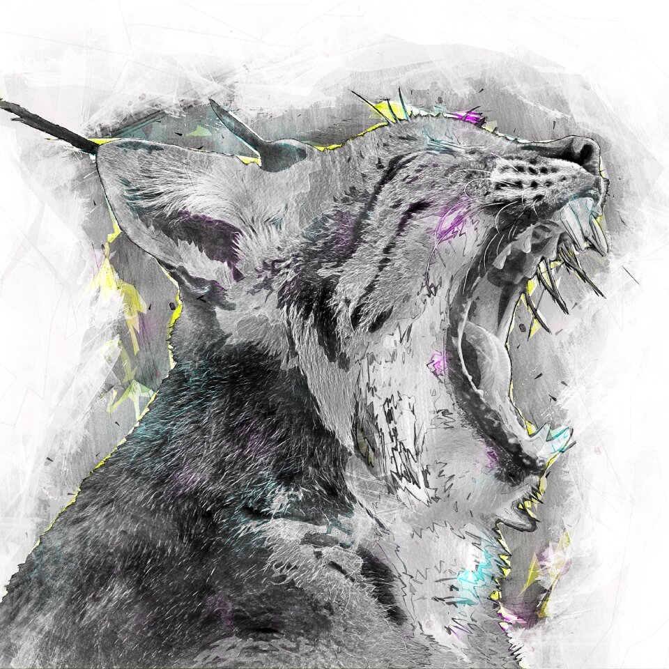 Animal mammal close-up