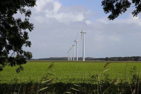Polder zeewolde landscape