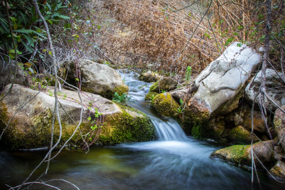 Wood waterfall leaf photo