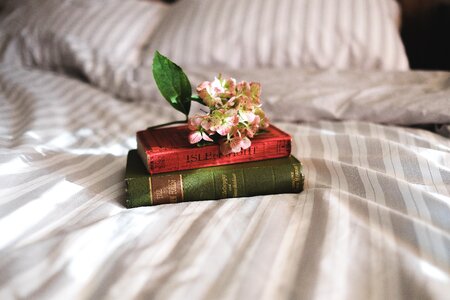 Reading bedroom bed