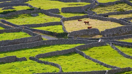 Stone wall green inisheer