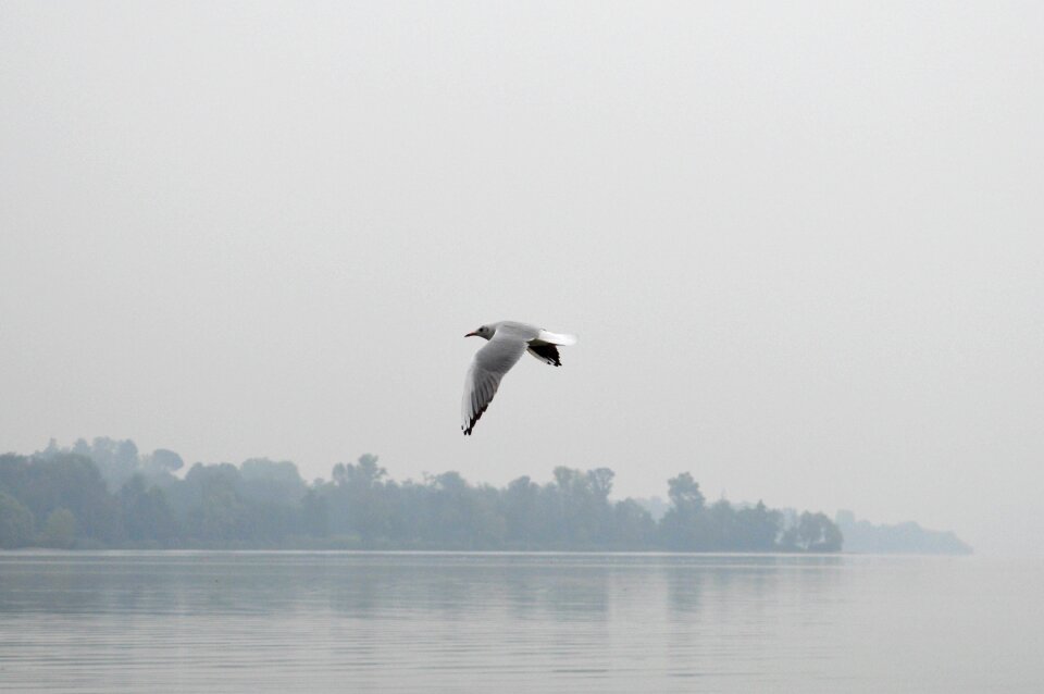 Outdoors lake flight