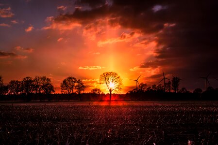 Dusk nature evening photo