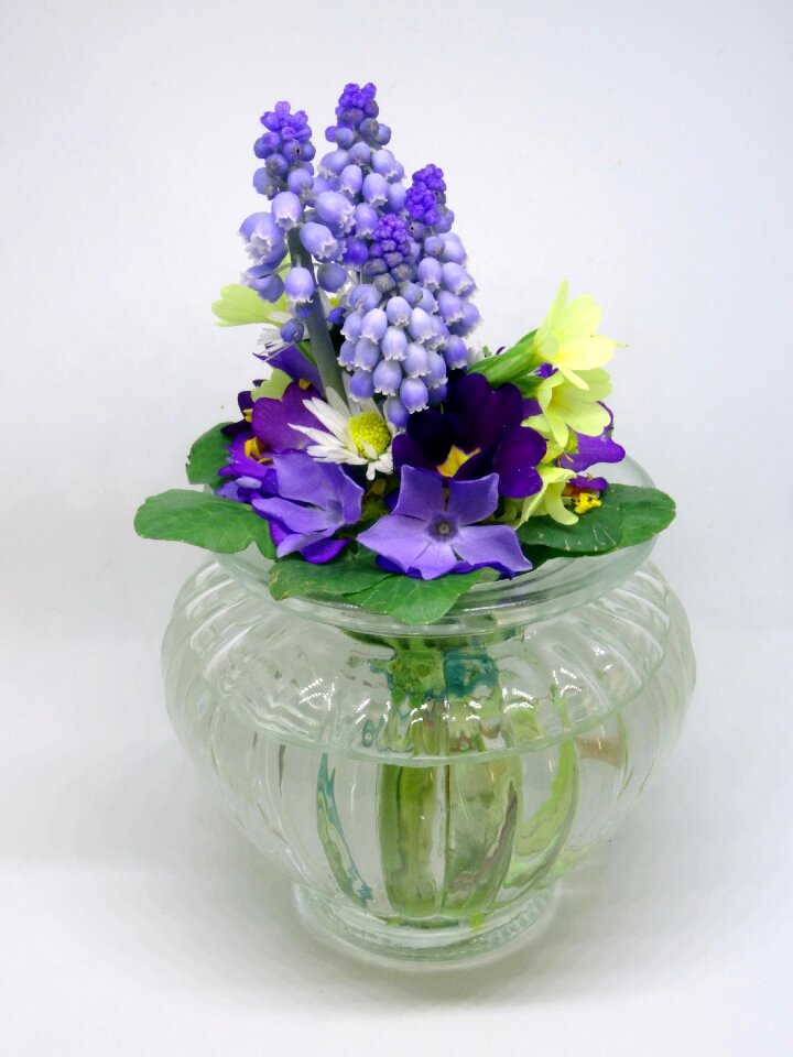Garden flowers bouquet plant