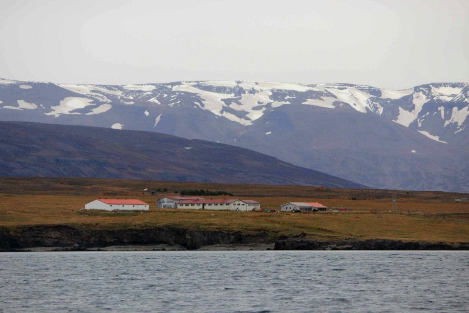 30 Raid nautique baleines (17)