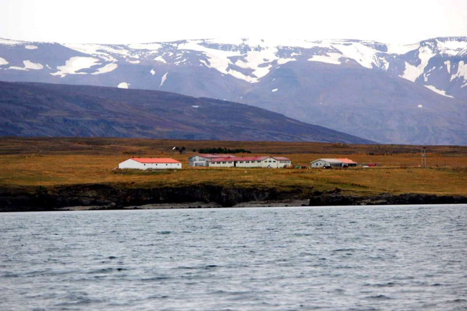 30 Raid nautique baleines (16)