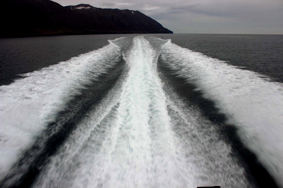 30 Raid nautique baleines (11)