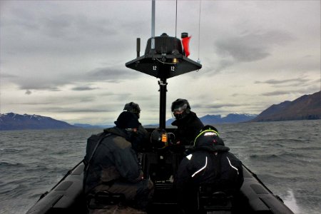30 Raid nautique baleines (1)
