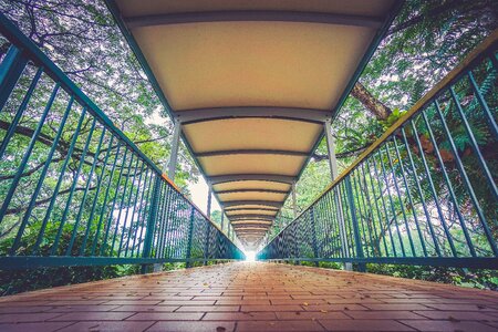 Cobblestone railing trees