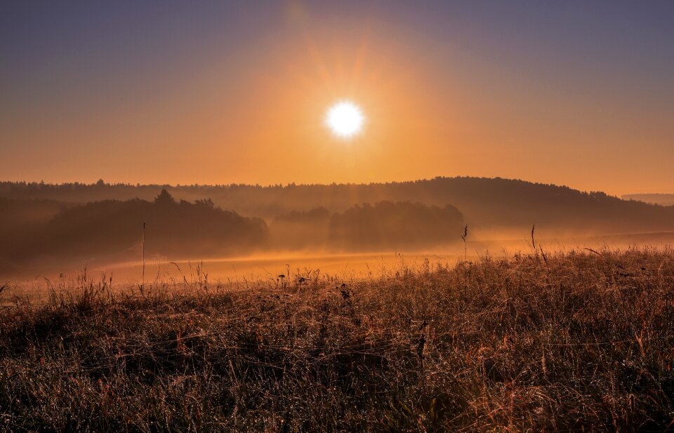 Fog autumn colors landscape