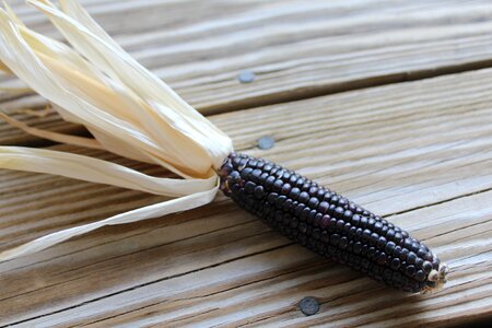 Color grain black