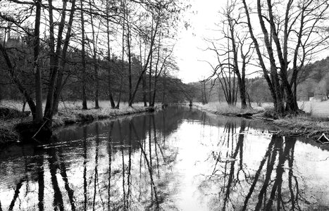 River nature black and white photography