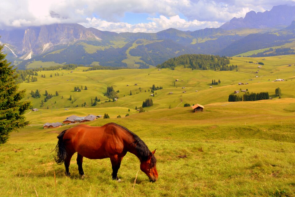 Prato dolomites mountain