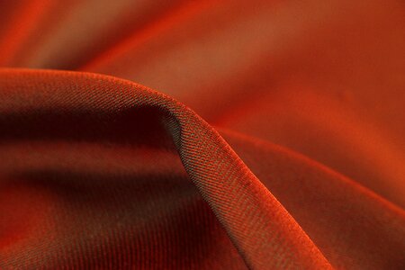 Macro detail cotton