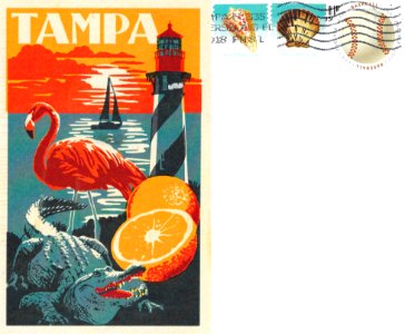 Tampa